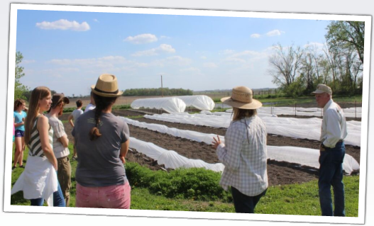 farm walk