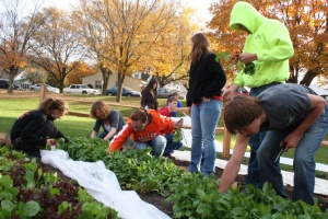 Decorah High School garden is working well